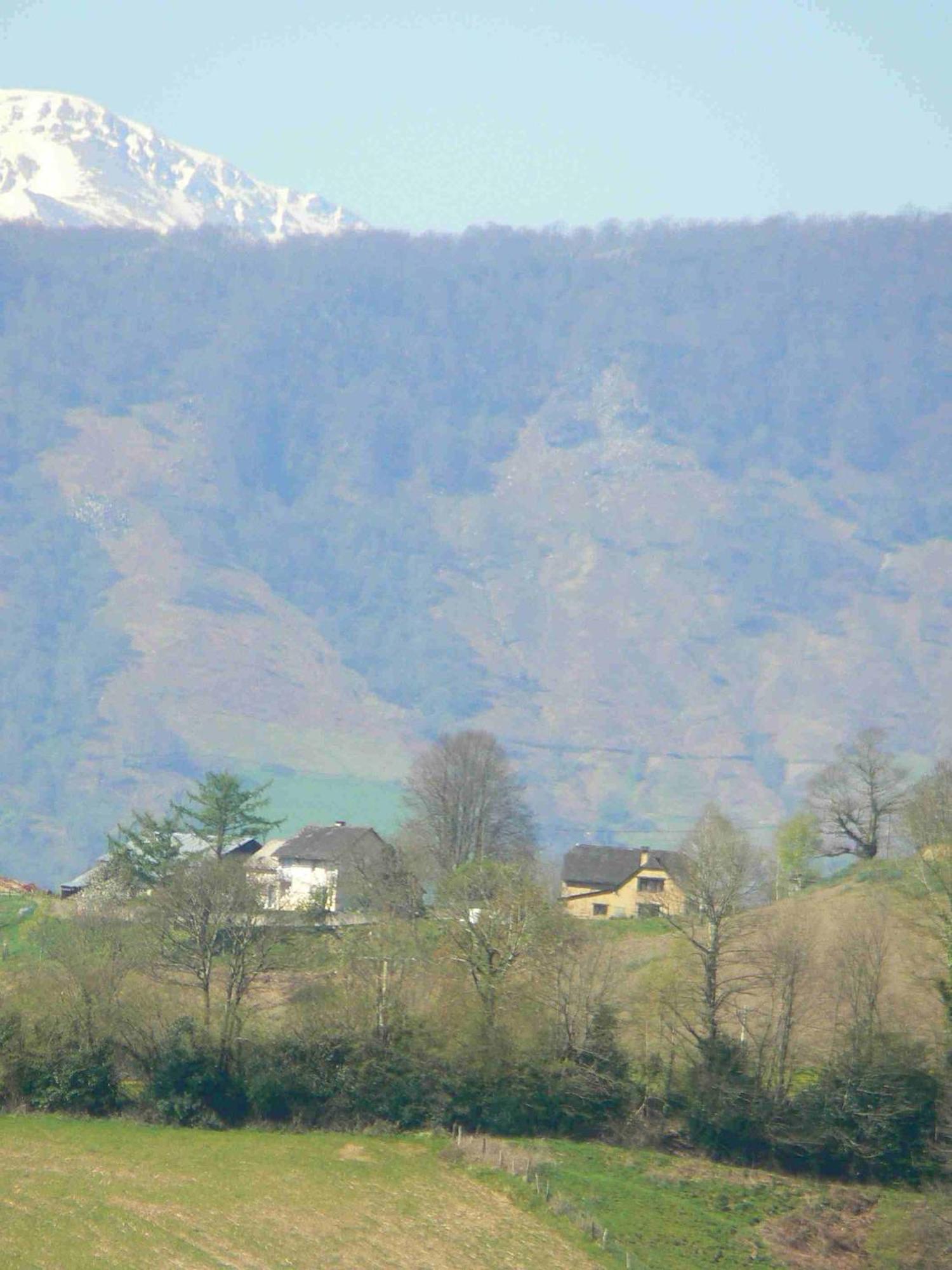 La Ferme Aux Sangliers - Micalet Villa Issor Exterior foto
